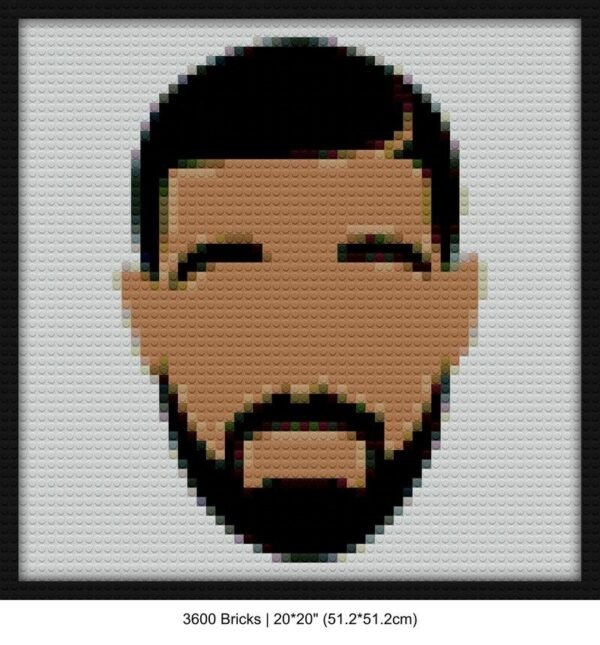 Drake mosaic wall art