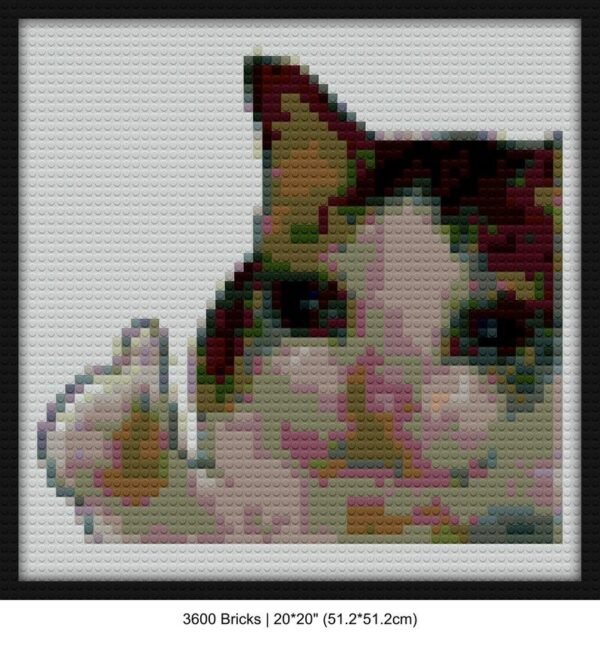 Cat mosaic blocks