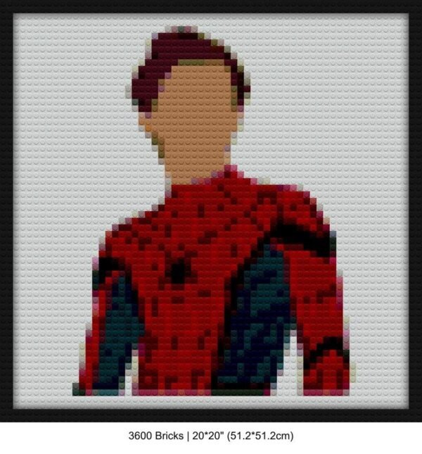 Spiderman mosaic blocks