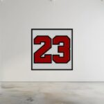G O A T 23 Bricks brick block
