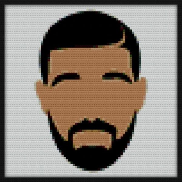 Drake Bricks Art