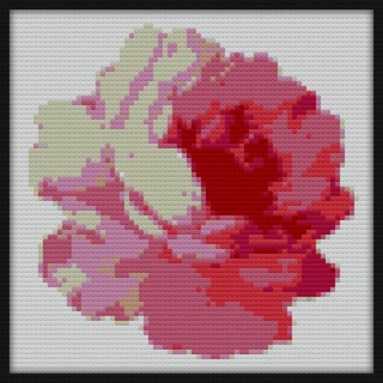 Flower pink peony Bricks Art | Compatible with LEGO-style bricks | Pixel Brick Art