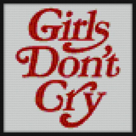 Girls Don t Cry Bricks Art | Compatible with LEGO-style bricks | Pixel Brick Art