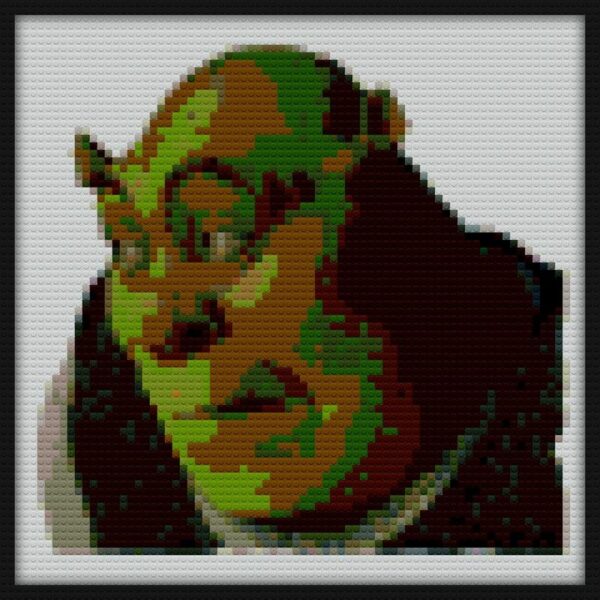 Shrek Bricks Art