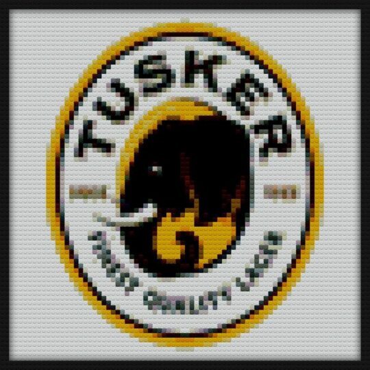 Tusker Beer Bricks Art | Compatible with LEGO-style bricks | Pixel Brick Art