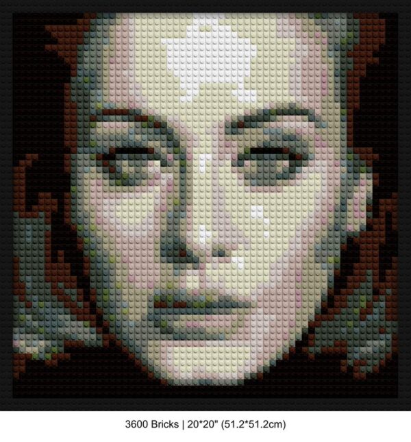 Pop Music custom brick portraits | Compatible with LEGO-style bricks | Pixel Brick Art