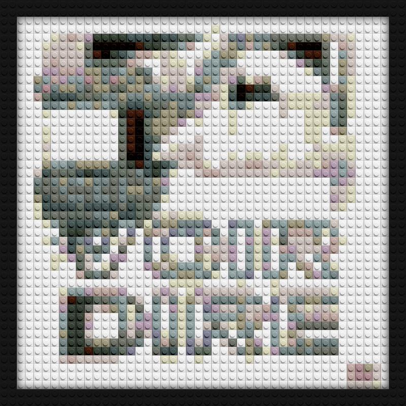 Earl Sweatshirt The Alchemist VOIR DIRE brick based pixel art | Compatible with LEGO-style bricks | Pixel Brick Art