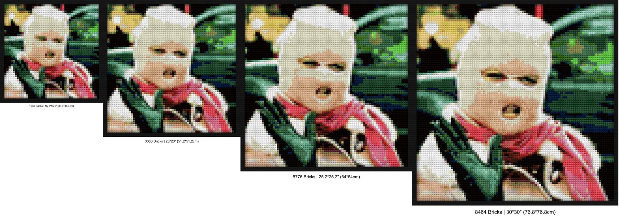 "Tyler The Creator III Cab TV Thief Wall Art Frame" brick block wall decor | Compatible with LEGO-style bricks | Pixel Brick Art