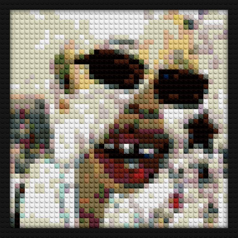 Tyler The Creator Igor Vinyl Mint brick mosaic art | Compatible with LEGO-style bricks | Pixel Brick Art
