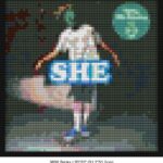 She Album creative brick wall decor