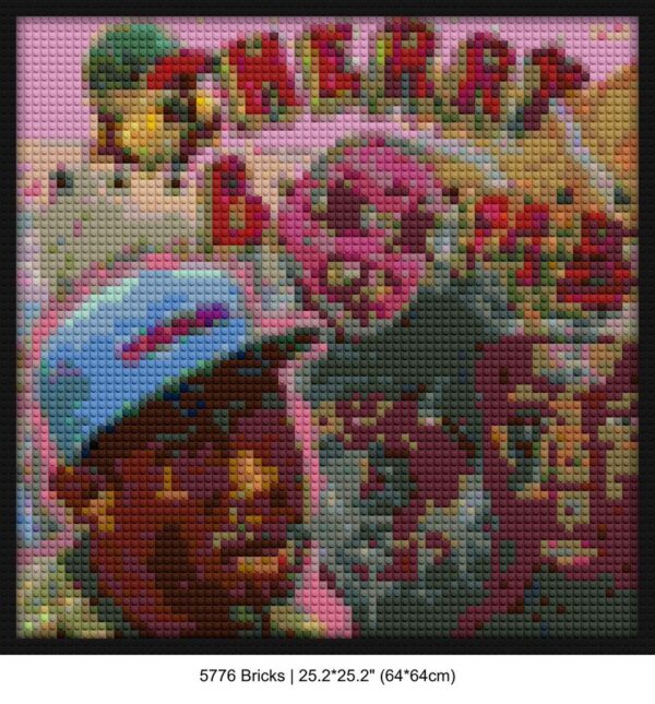 Music Albums Art block mosaic design | Compatible with LEGO-style bricks | Pixel Brick Art